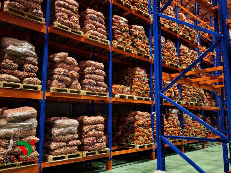 Bảo quản và giữ tươi thực phẩm