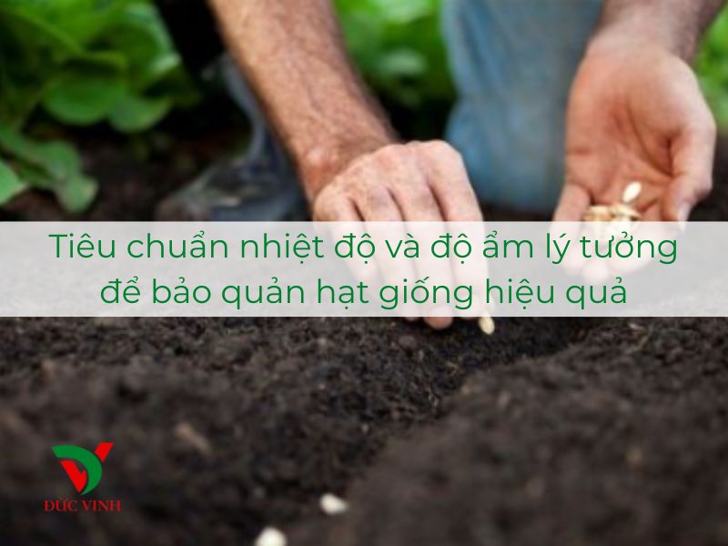 Tiêu chuẩn nhiệt độ và độ ẩm lý tưởng để bảo quản hạt giống hiệu quả