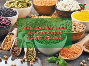 Kho lạnh bảo quản hạt giống nông nghiệp hiệu quả